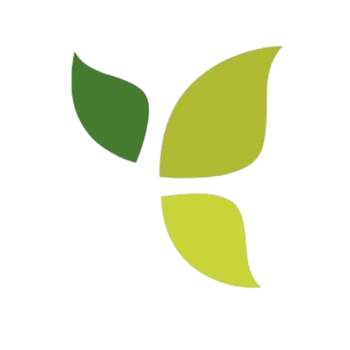 icon e removebg preview